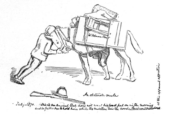 Collections of Drawings antique (10310).jpg